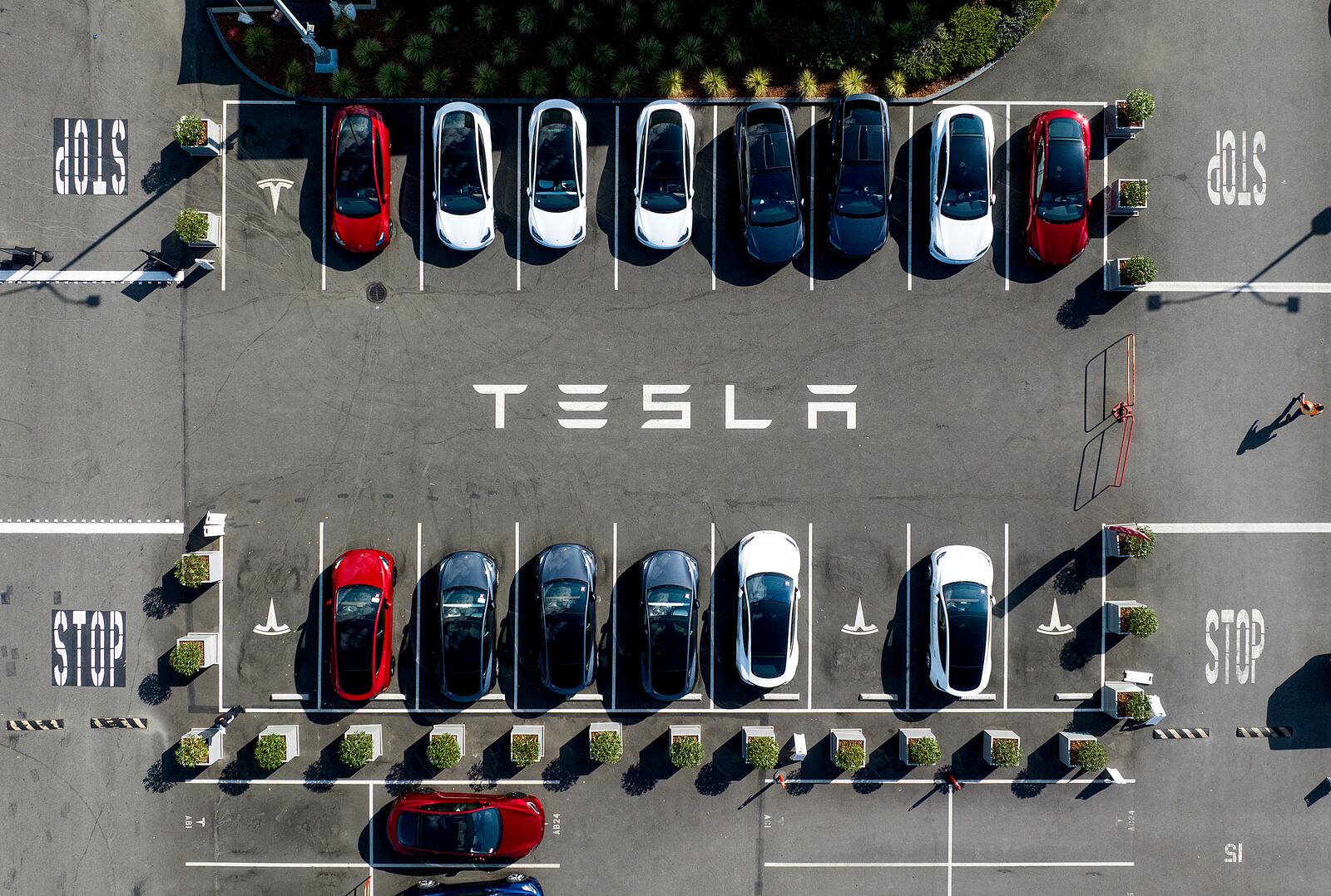 FILE - Tesla vehicles line a parking lot at the company's Fremont, Calif., factory on Sept. 18, 2023. (AP Photo/Noah Berger, file)