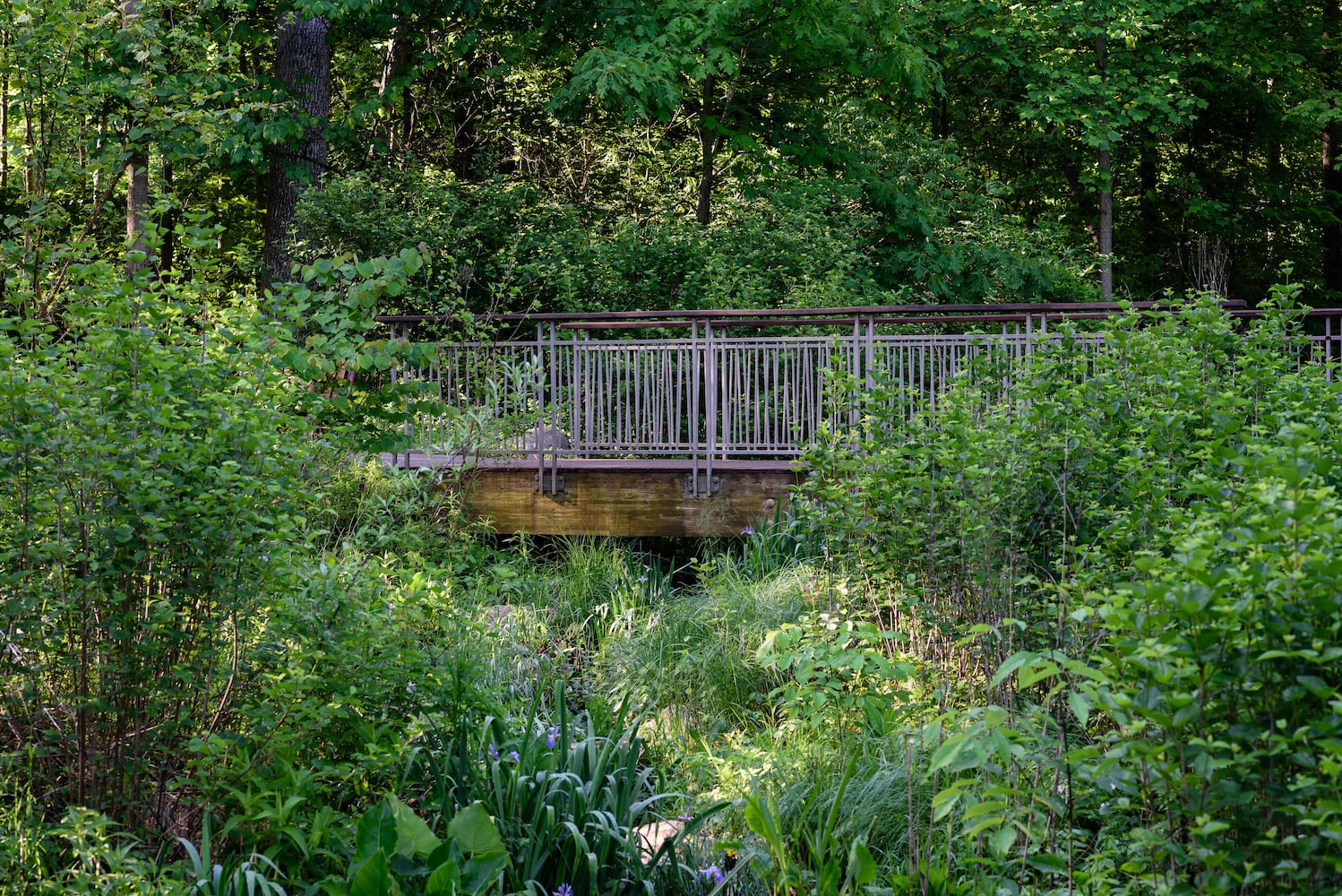 PHOTOS: Take a stroll through the hills at picturesque park