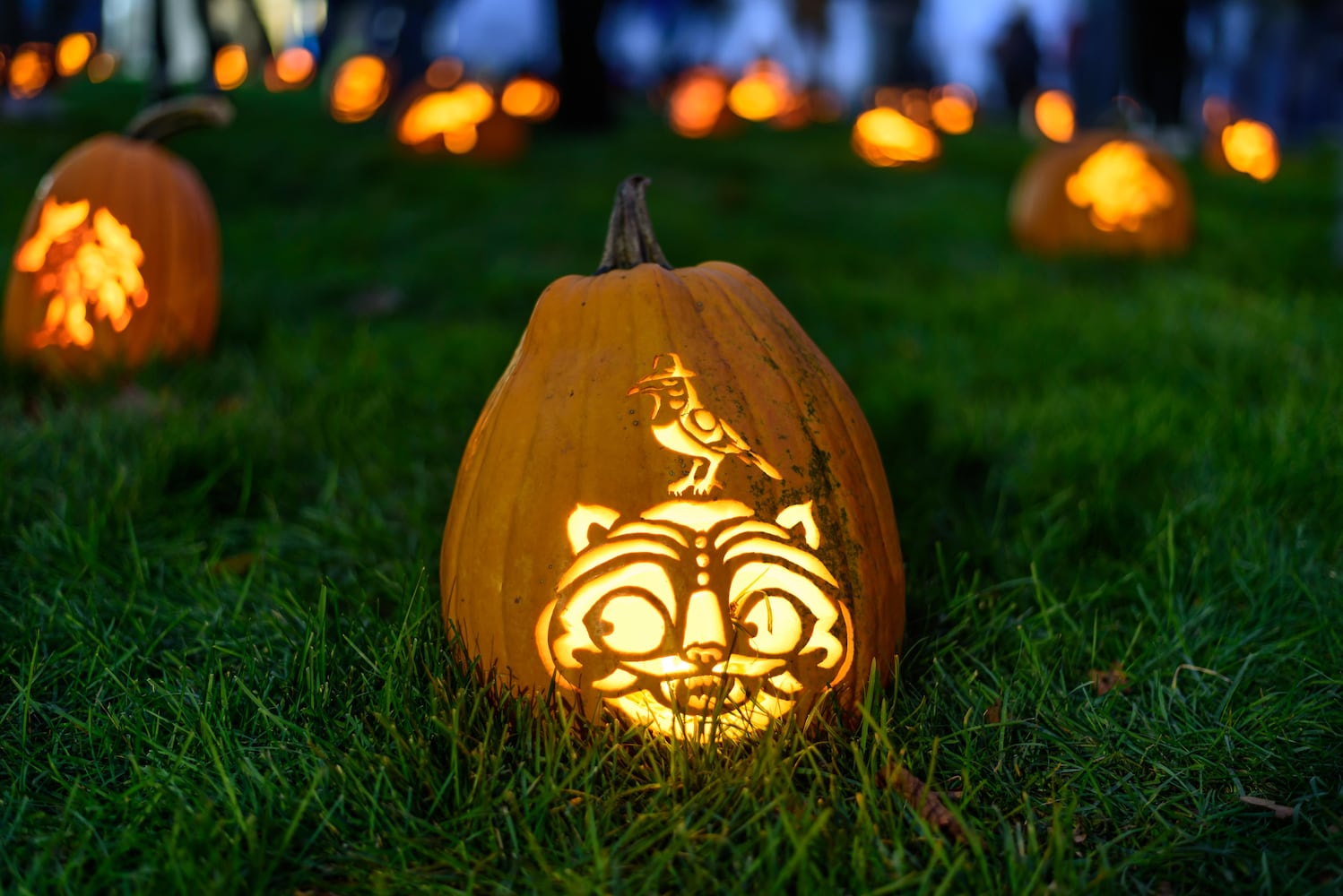 PHOTOS: 2025 Stoddard Avenue Pumpkin Glow
