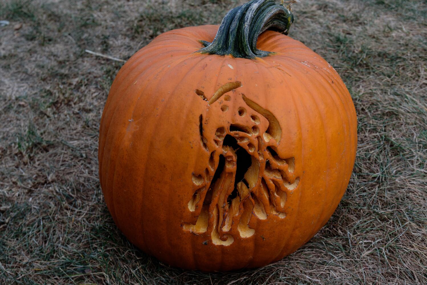 PHOTOS: The Stoddard Avenue Pumpkin Glow