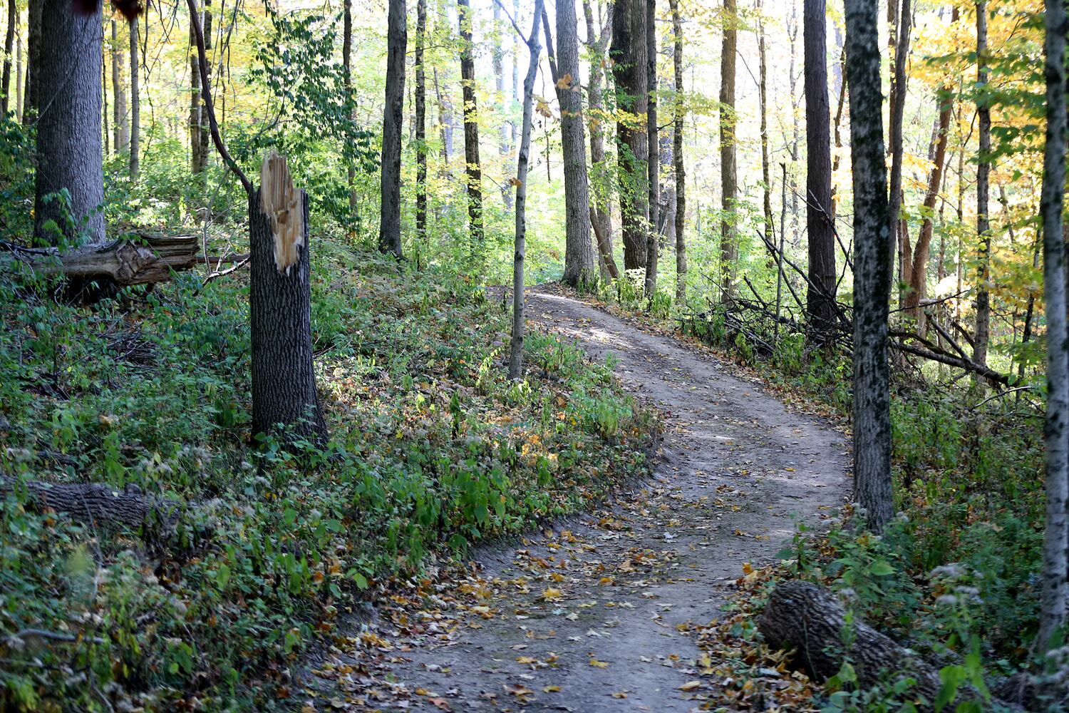 PHOTOS: New hiking trails at Germantown MetroPark explore a landscape of beauty