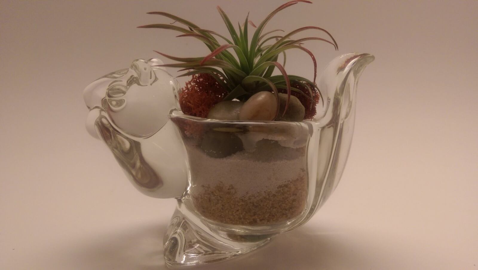 NOW and ZEN TERRARIUMS is in the 2nd Street Market.