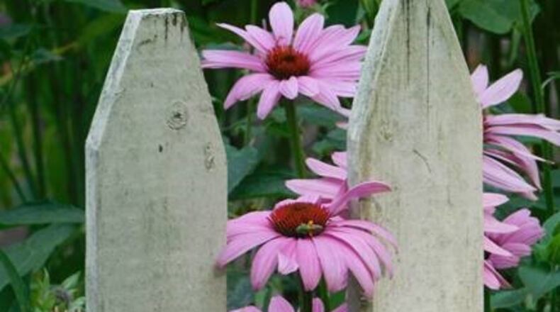 This is Tammy Pierce’s winning photo from the 2019 contest. CONTRIBUTED