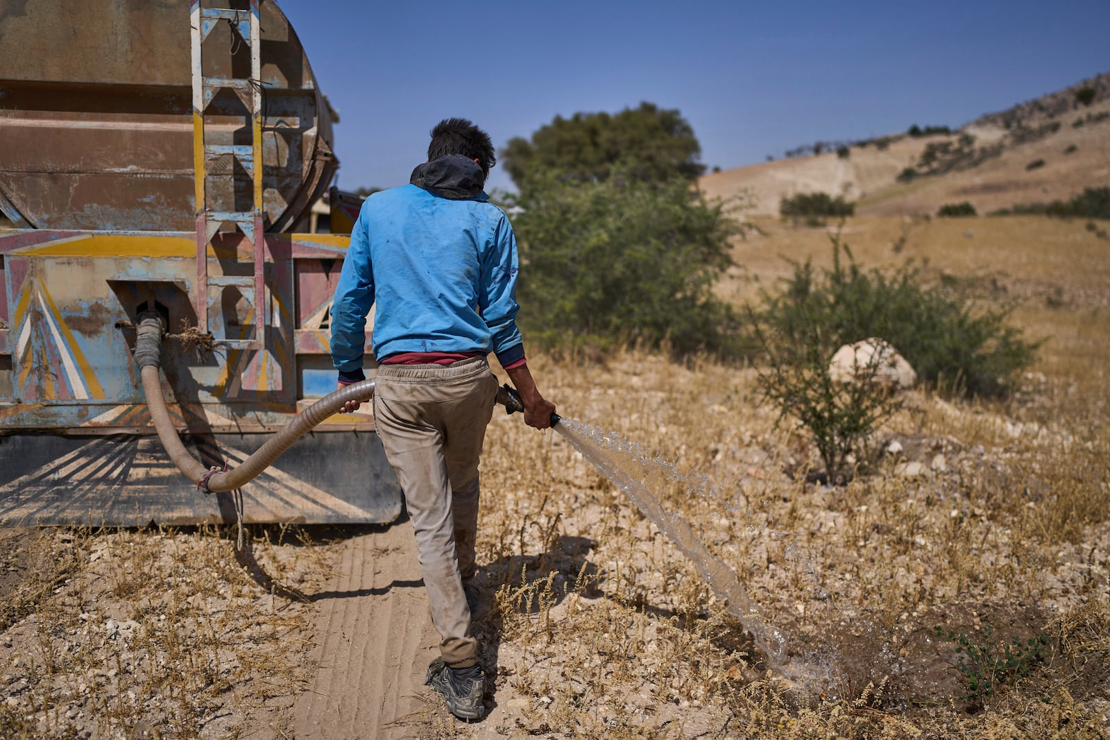 A worker from local government irrigates newly planted argan trees to help fight against drought and deforestation, in Essaouira, Morocco, Thursday, May 22, 2025. (AP Photo/Mosa'ab Elshamy)