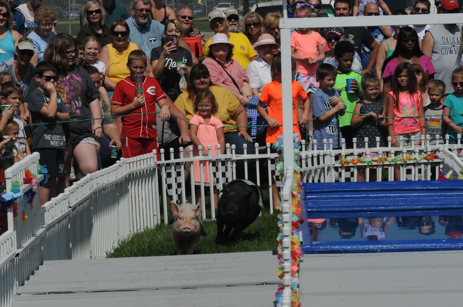 PHOTOS: Did we spot you at the Preble County Pork Festival?