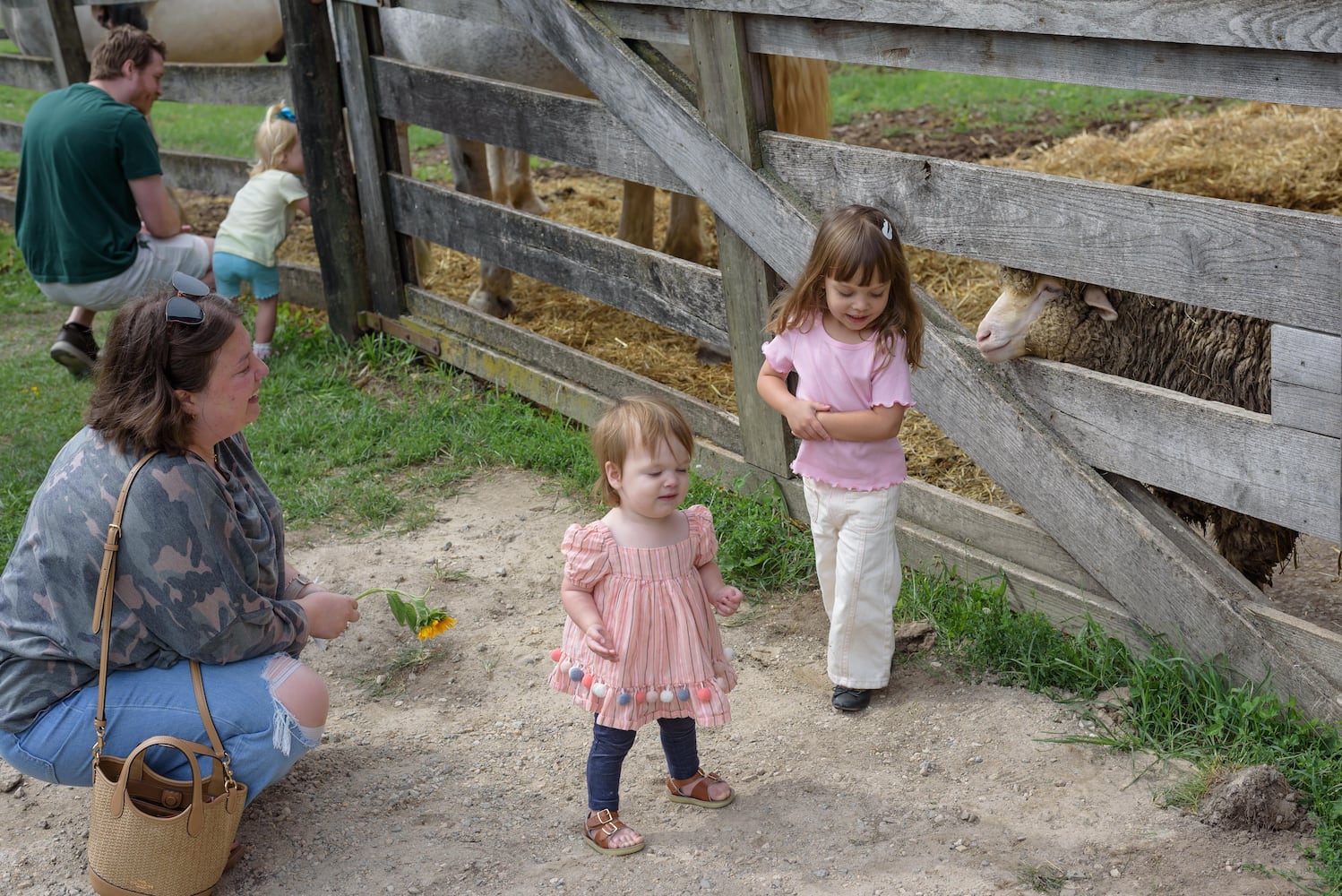 PHOTOS: 2025 Small Farm & Food Fest at Carriage Hill MetroPark