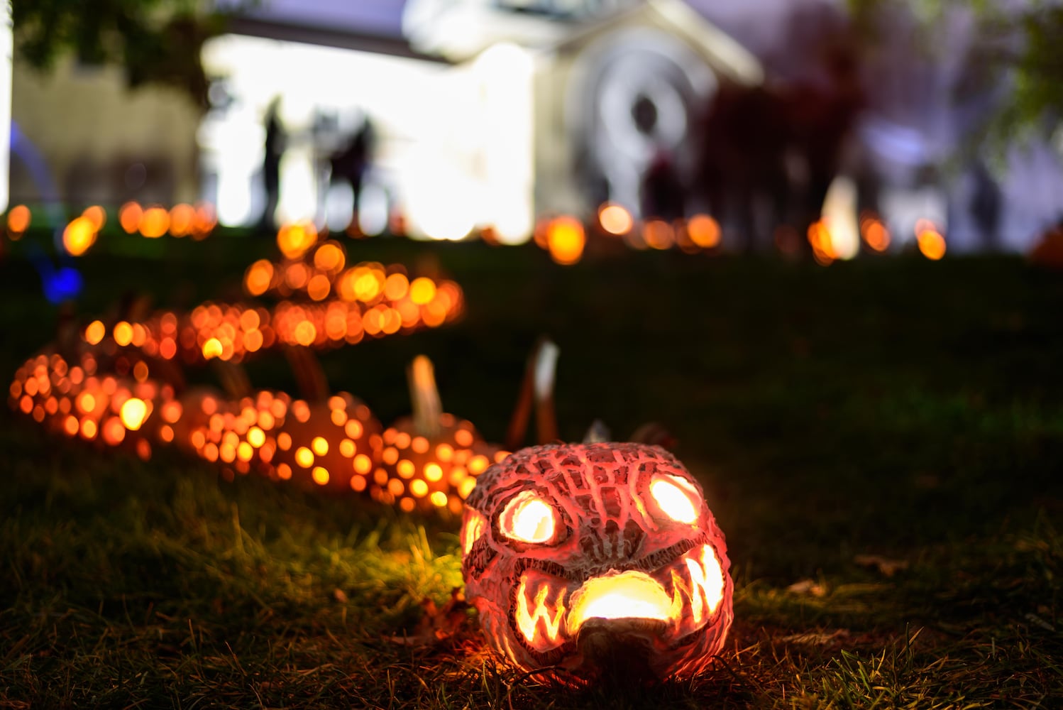 PHOTOS: 2025 Stoddard Avenue Pumpkin Glow