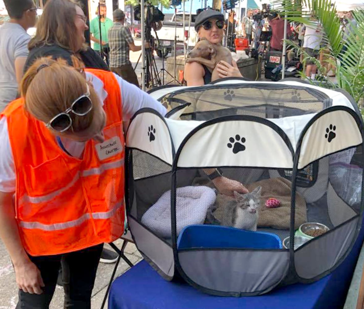 PHOTOS: Animals offer loving snuggles in the Oregon District