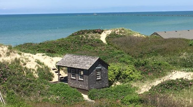 Lost in conservation area. (Carol Ann Davidson/TNS)