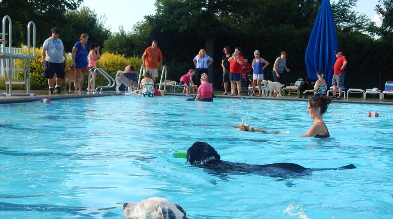 Dogs enjoy the Cassel Hills pool before the end of the 2016 season.