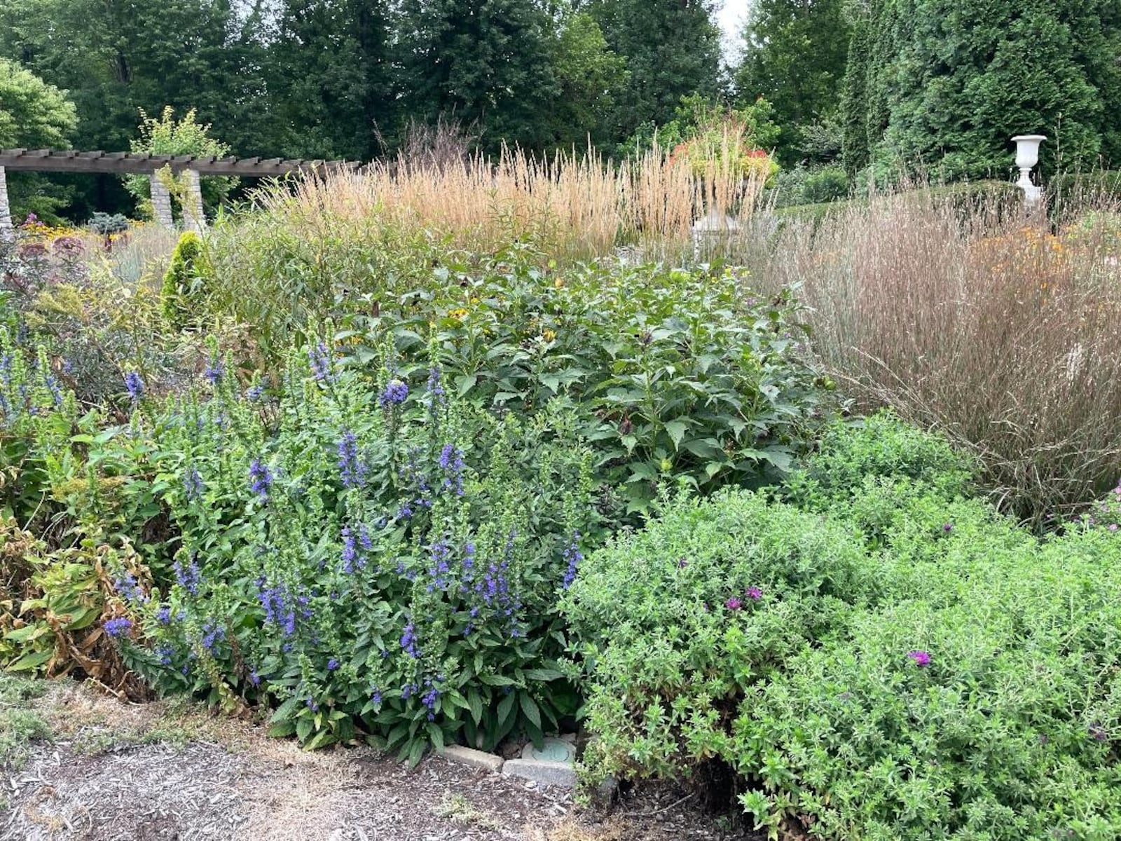 The rain garden at Wegerzyn MetroPark is located within the Arbor Garden. Photo by Russell Florence Jr.