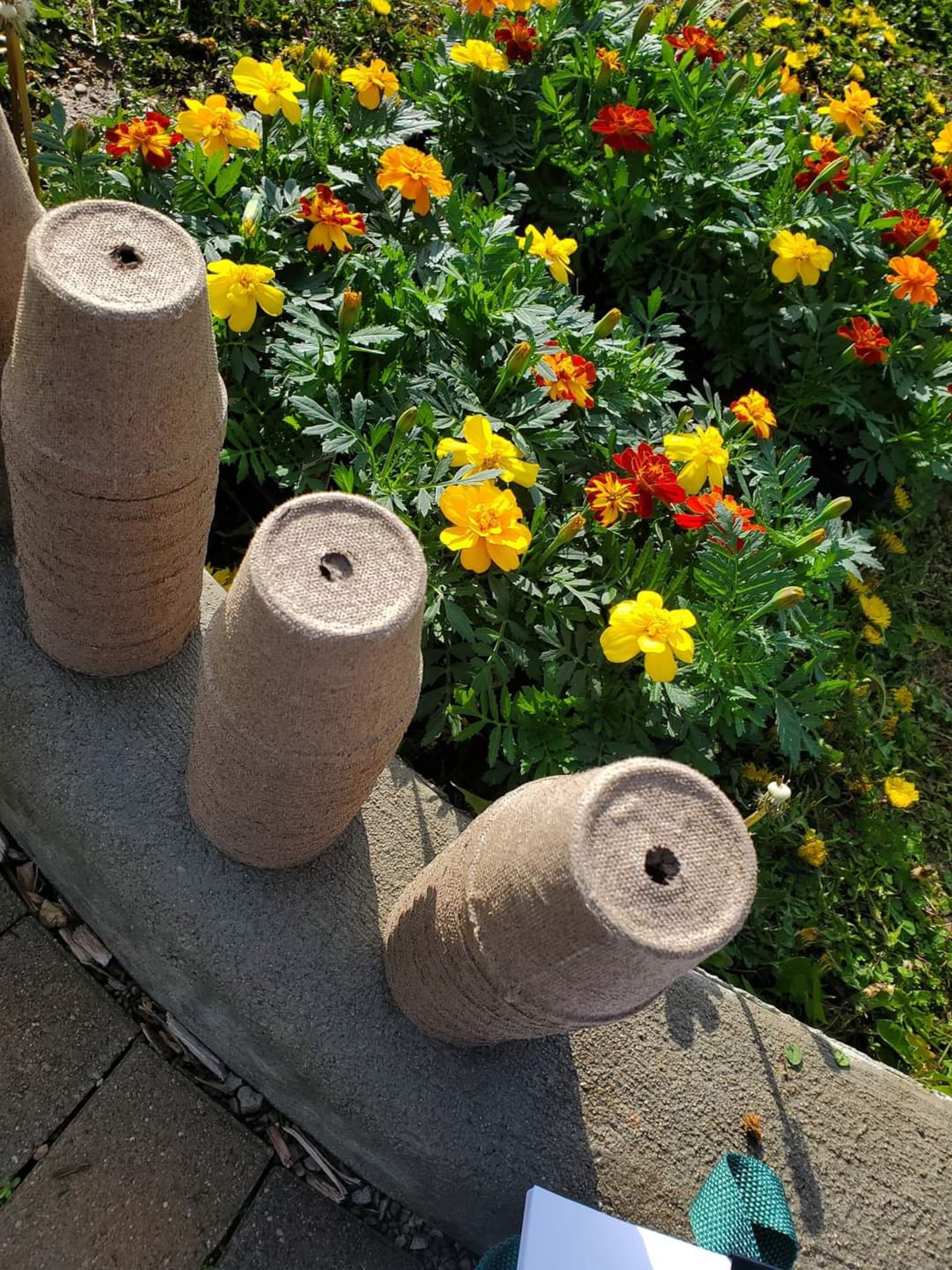 Kids can pot their own marigolds to take home at the Earth Day Celebration sponsored by Barefoot Hippie Homesteading and the city of Lebanon. CONTRIBUTED