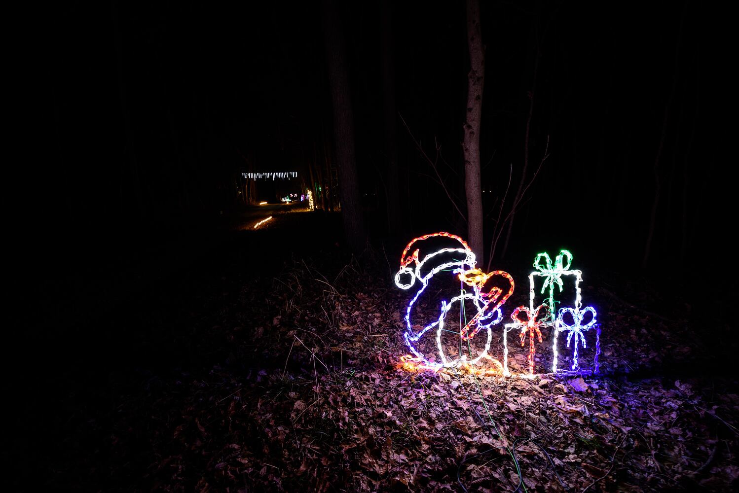 PHOTOS: Holiday Lights dazzle at Lost Creek Reserve in Troy