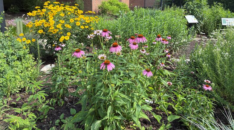 Bright colors of native plants fill the sun garden outside Wright Memorial Public Library in Oakwood. JEN BALDUF/STAFF