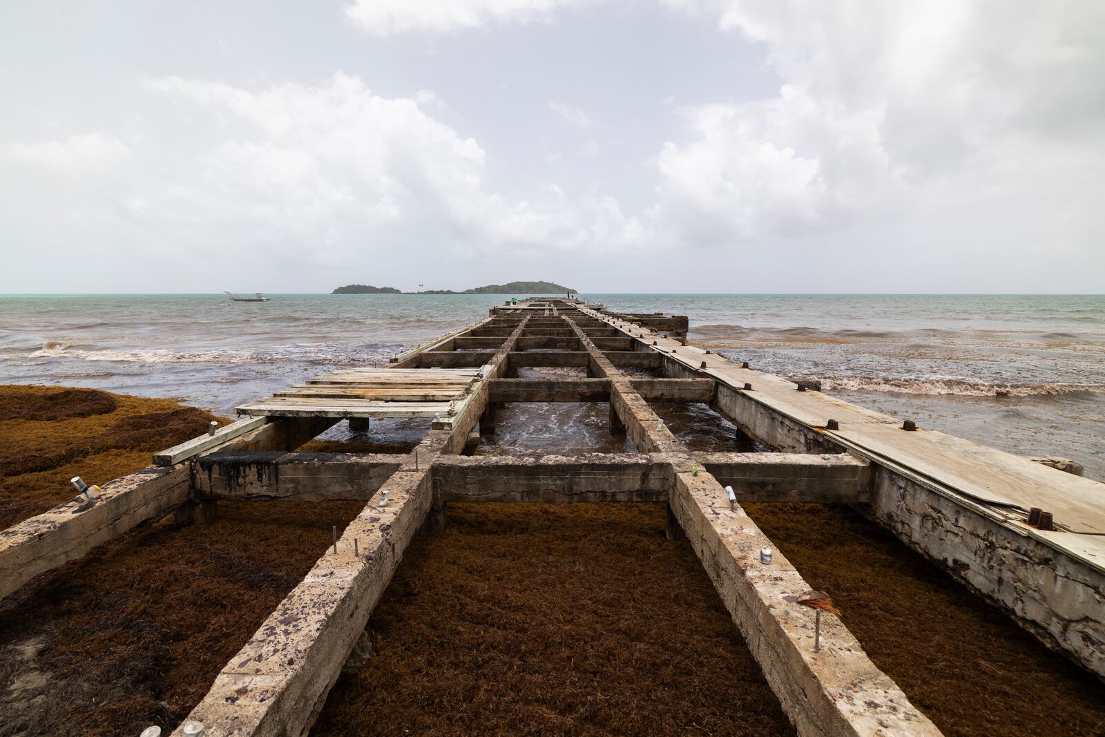 A pier sits damaged as sargassum surrounds the coastline of Punta Santiago, Humacao, Puerto Rico, Monday, June 2, 2025. (AP Photo/Alejandro Granadillo)