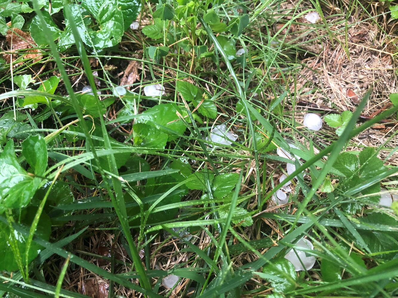 PHOTOS: Storms rip across area