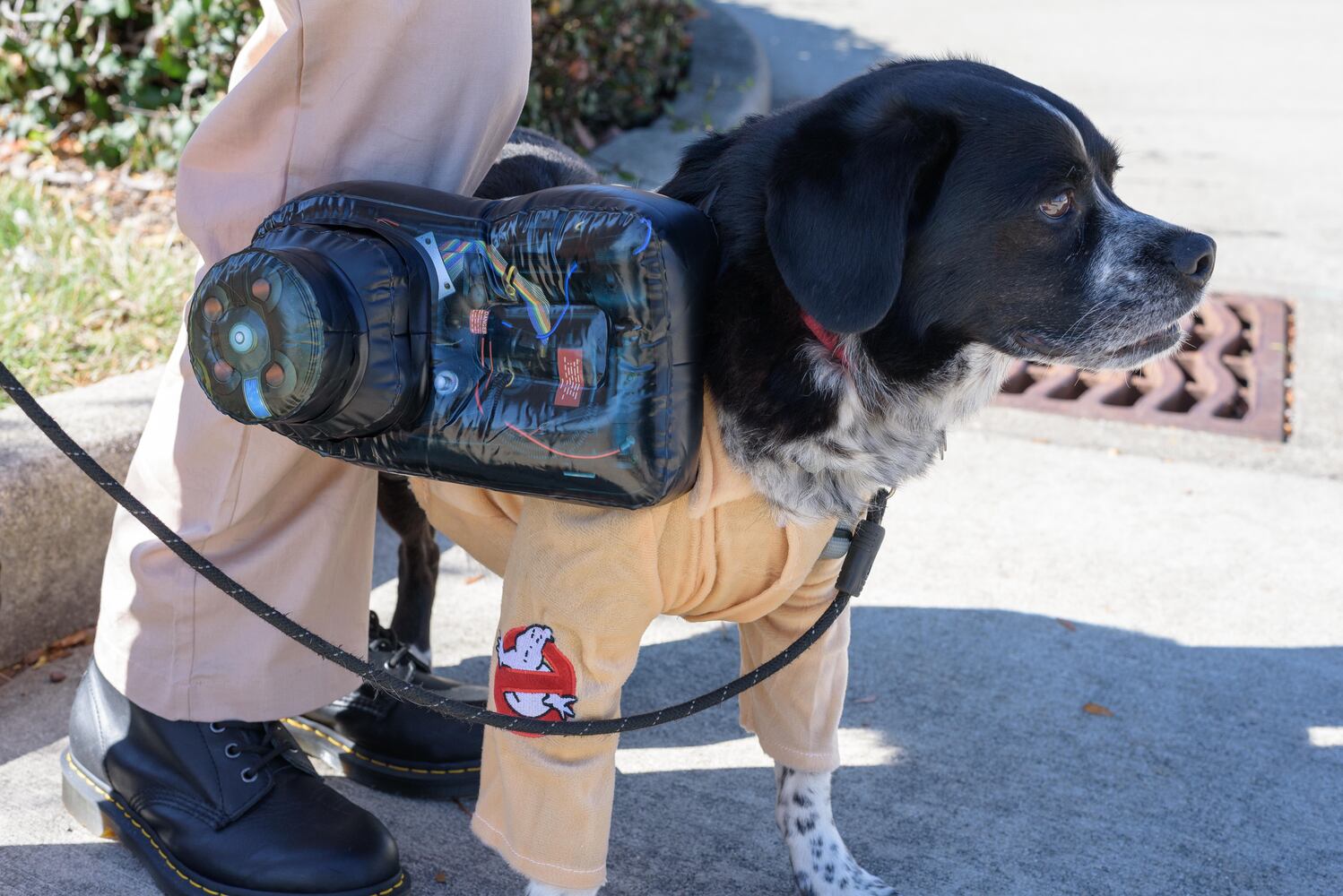 PHOTOS: Did we spot you and your dog at Wag-O-Ween at the Kettering Recreation Center?
