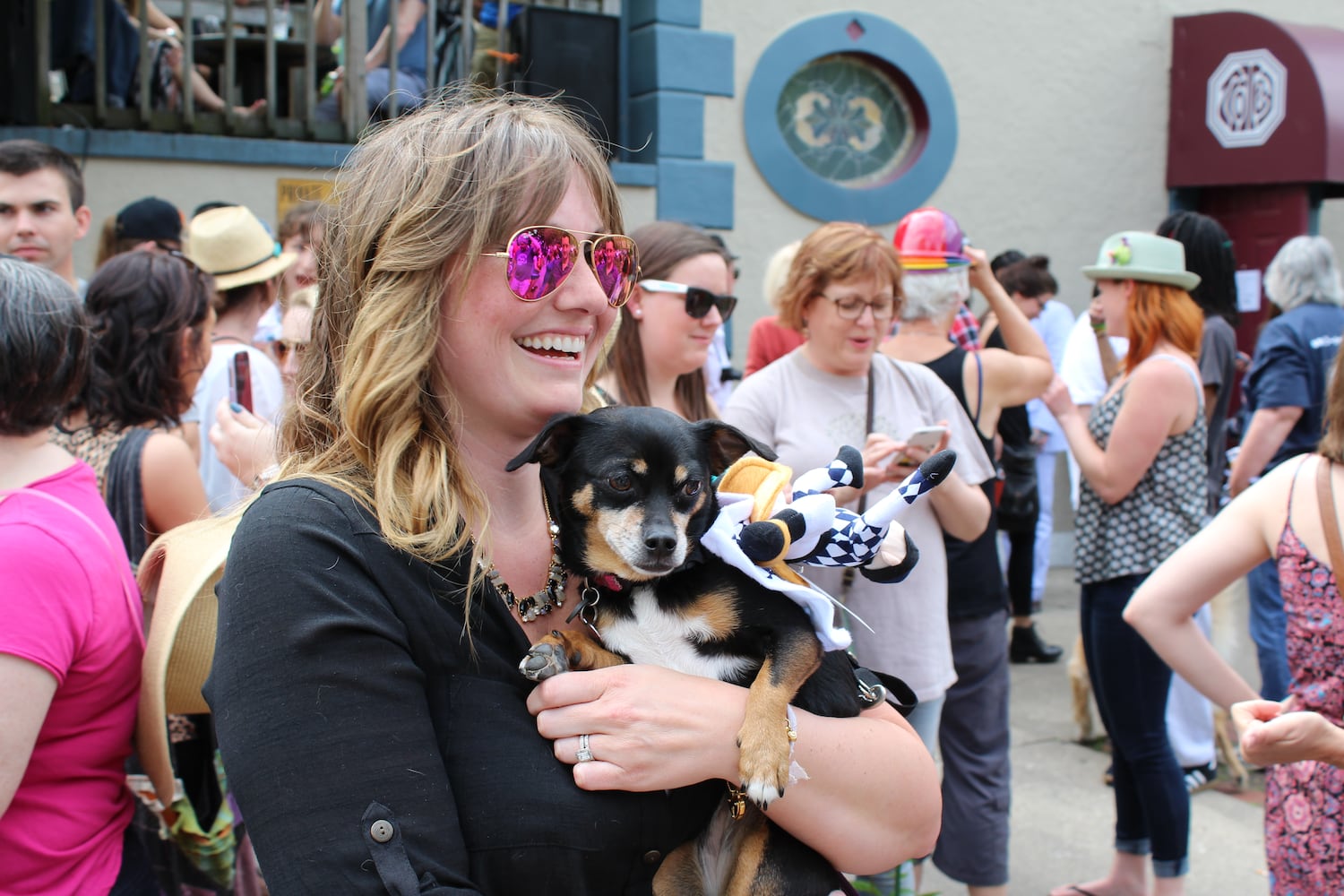 Dayton's wiener dog race of May 7, 2016