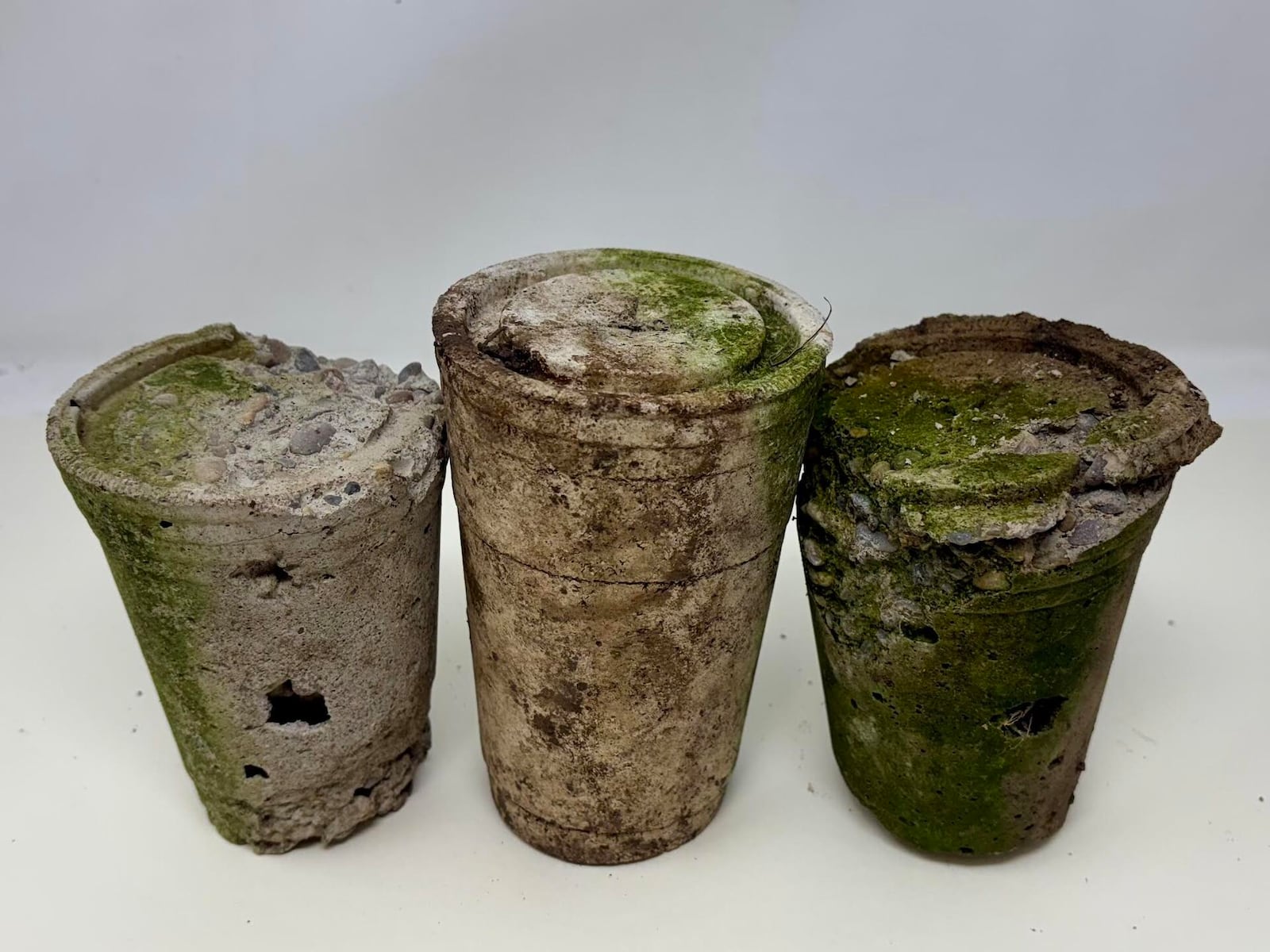 Billy Simms left these concrete casts of Starbucks disposable coffee cups outside for four years. The result is a mossy patina that holds a lens up to consumerism and sustainability. Billy Simms, "My Trash (Starbucks)", 2025, concrete cast from Starbucks single use coffee cups. CONTRIBUTED