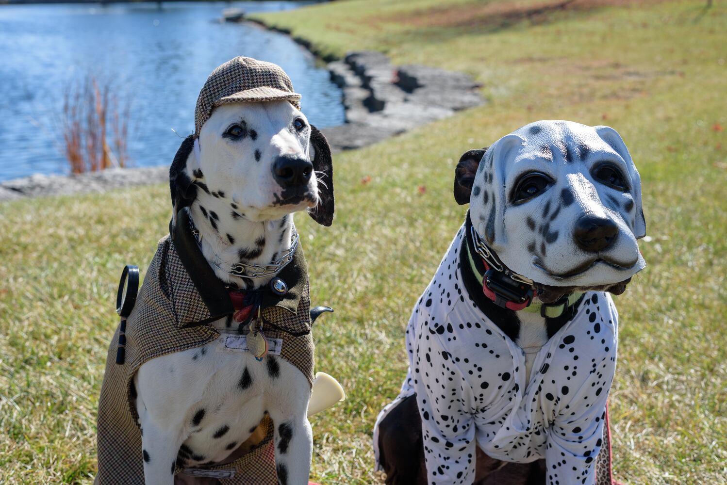 PHOTOS: Did we spot you and your dog at Wag-O-Ween at the Kettering Recreation Center?