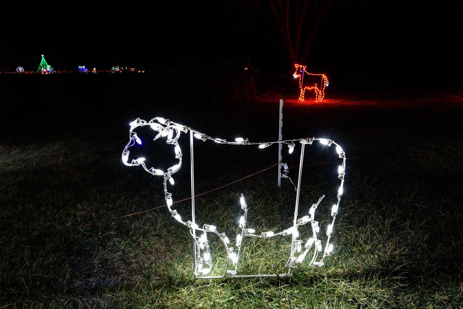 PHOTOS: ParkLights at Caesar Ford Park