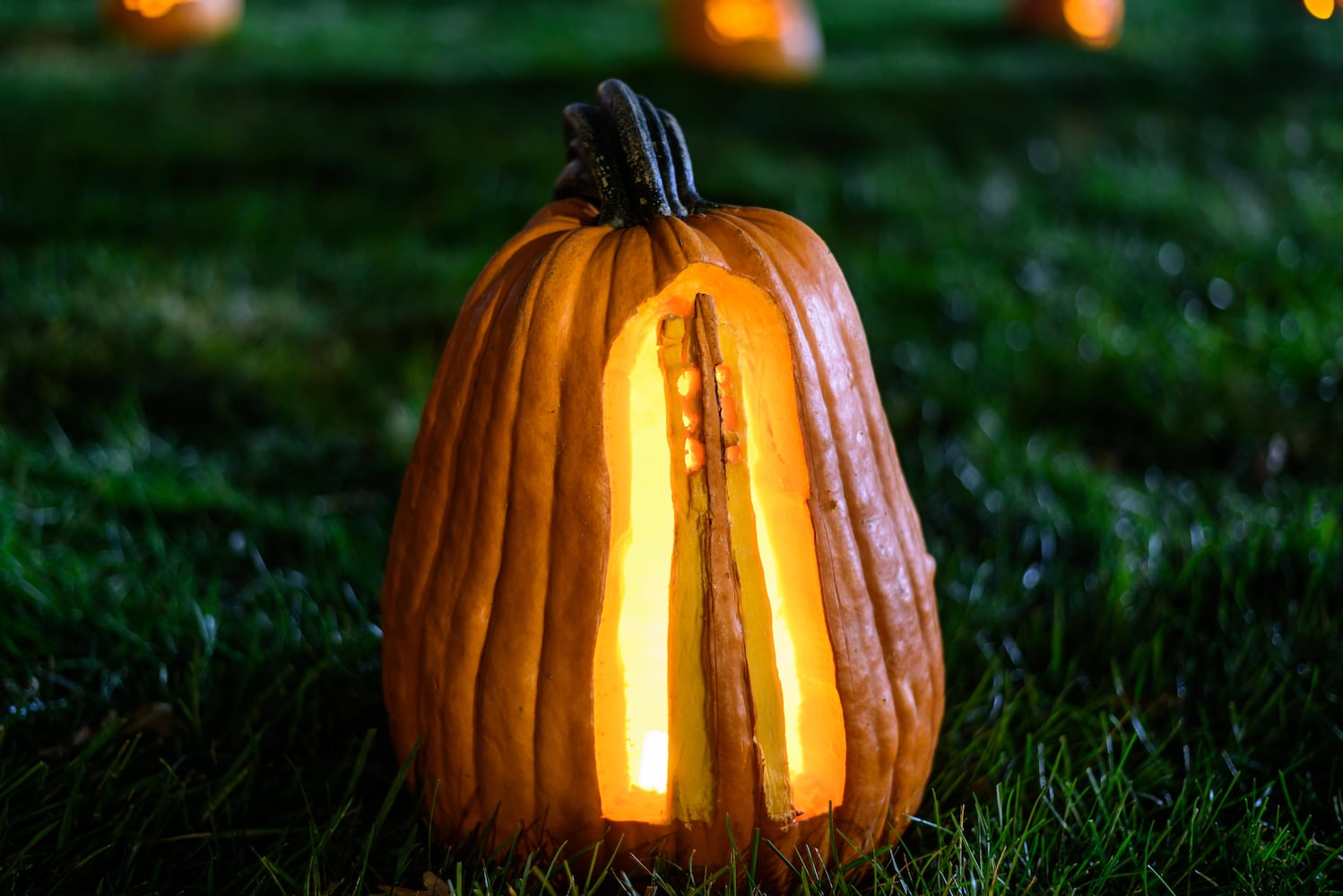 PHOTOS: 2025 Stoddard Avenue Pumpkin Glow