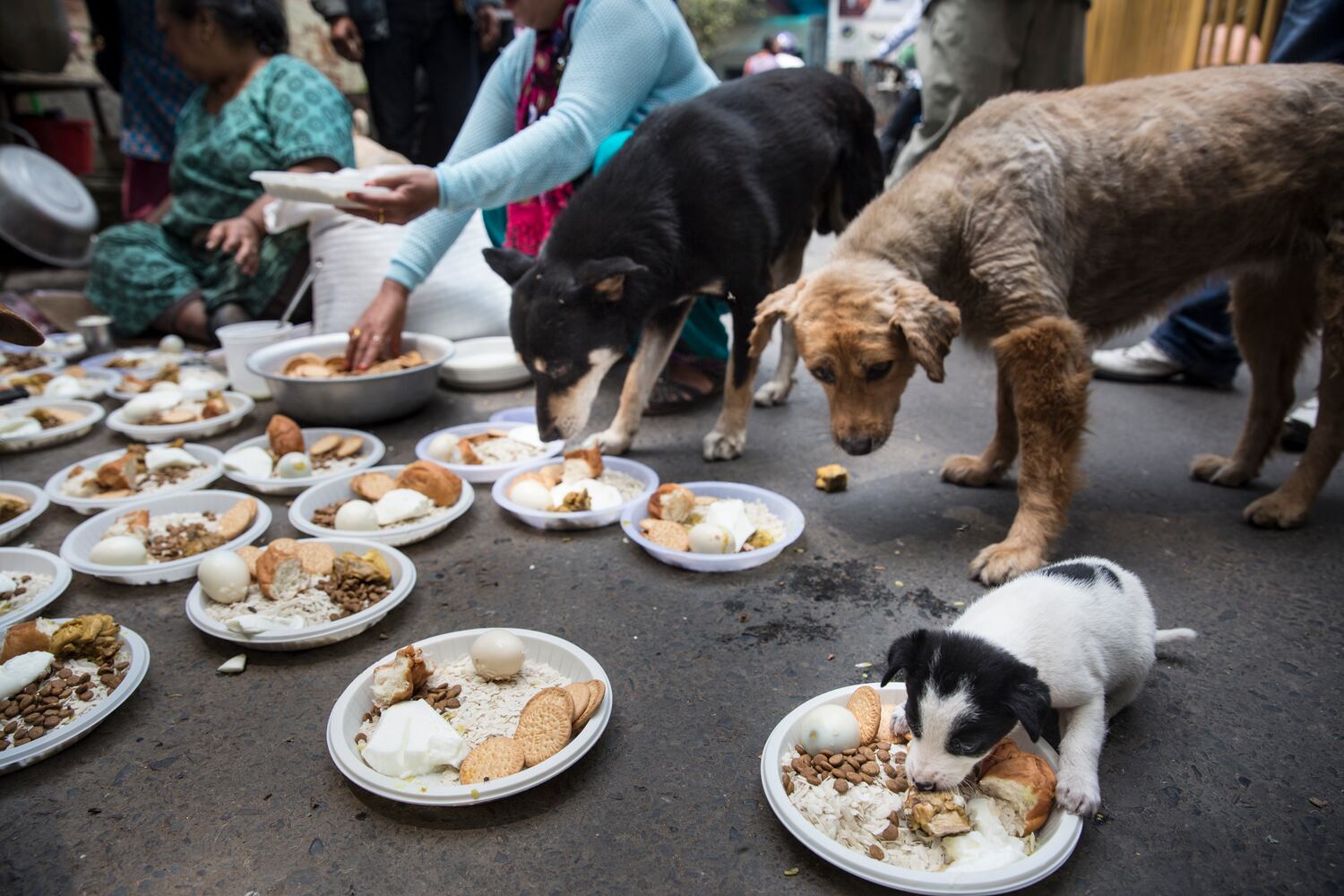 News hounds (5/14/15)