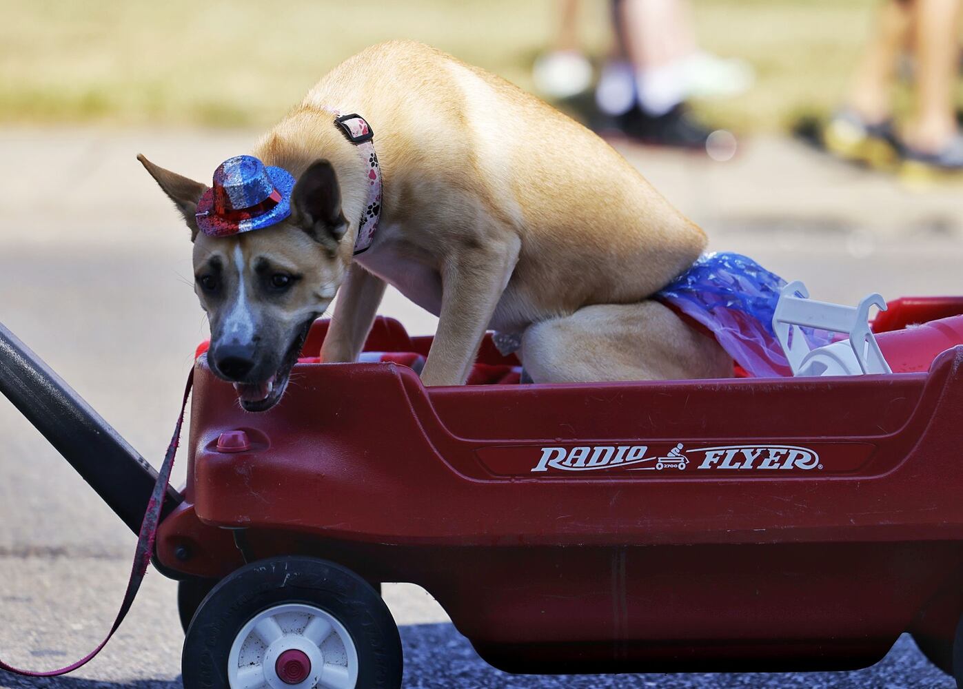 070422 Middletown July 4 parade