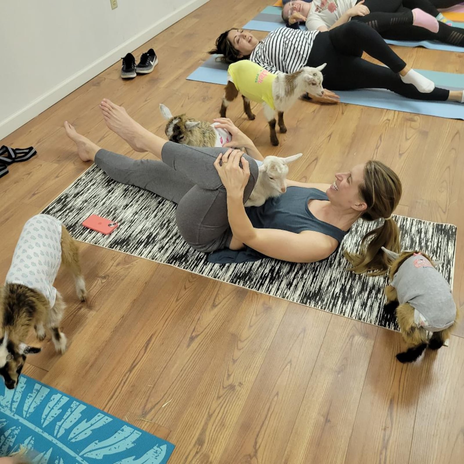 Greene County Parks & Trails has partnered with GoatCountry to offer goat yoga classes at Russ Nature Reserve in Beavercreek. CONTRIBUTED