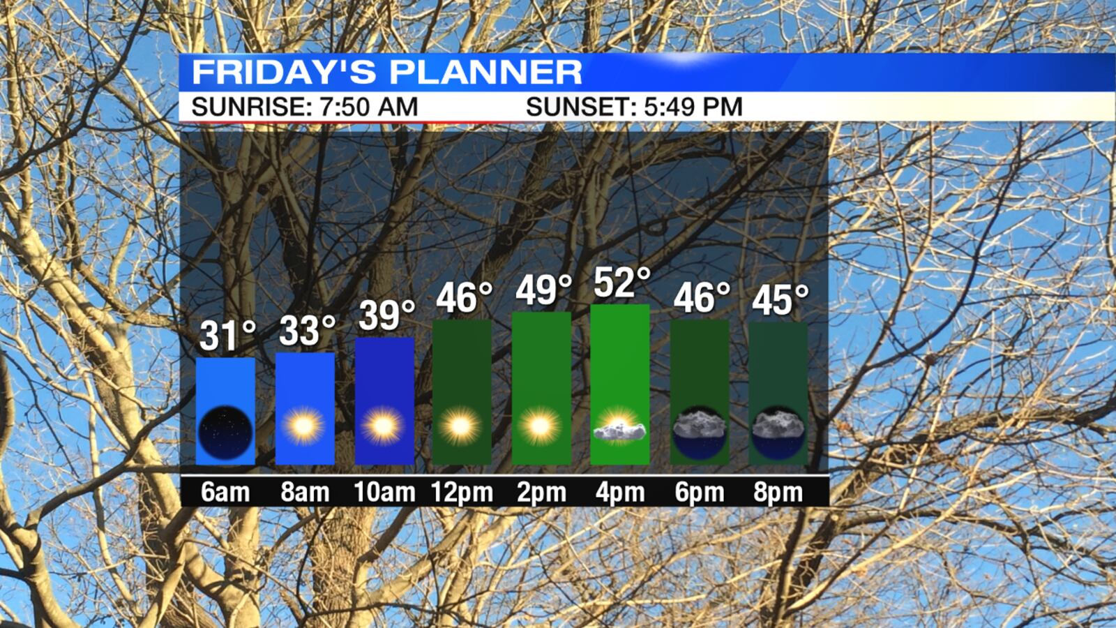 Friday Planner