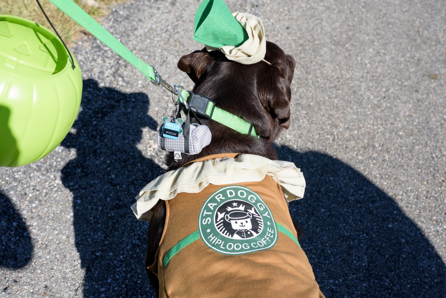 PHOTOS: Did we spot you and your dog at Wag-O-Ween at the Kettering Recreation Center?