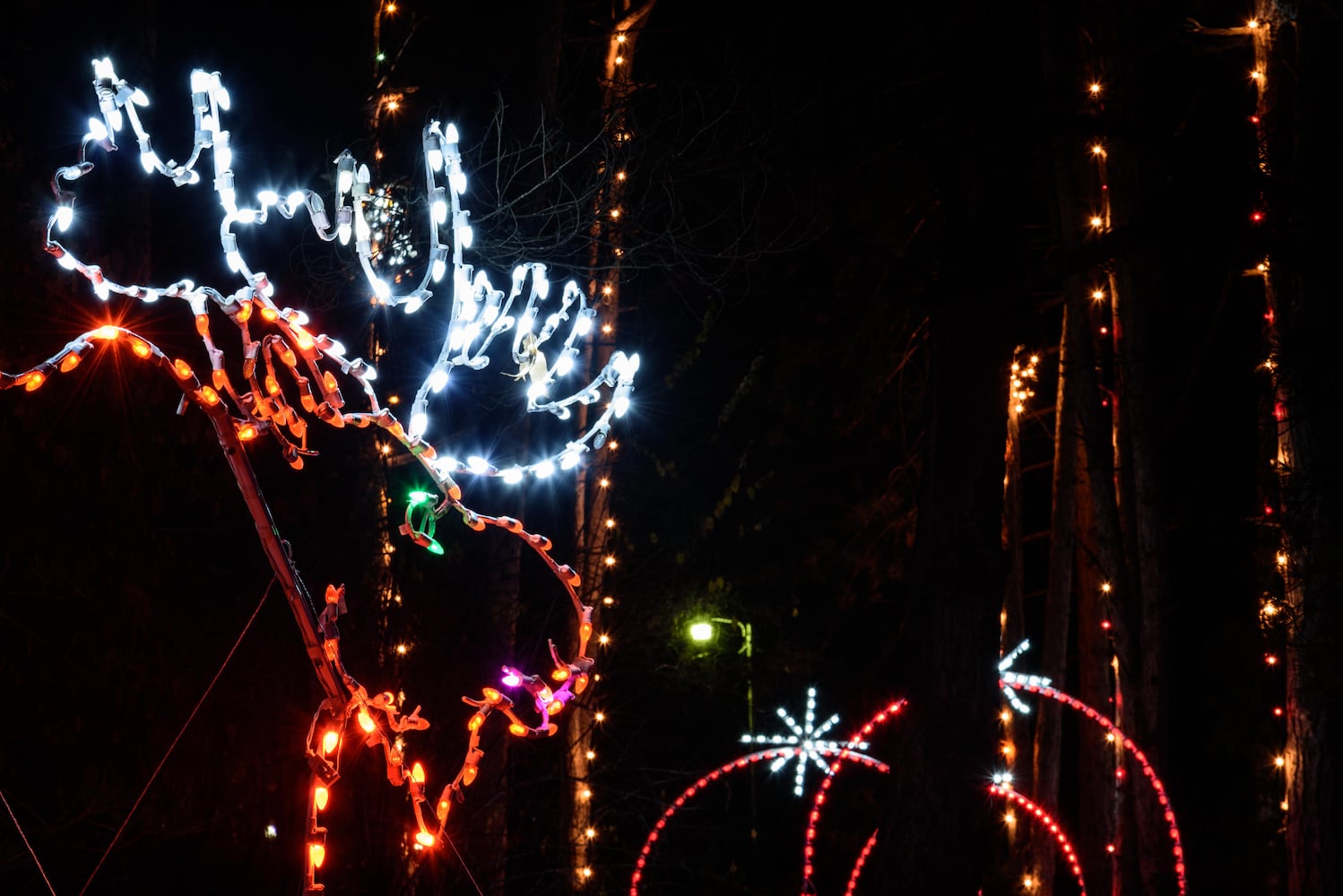 PHOTOS: A walk through Woodland Lights in Washington Township