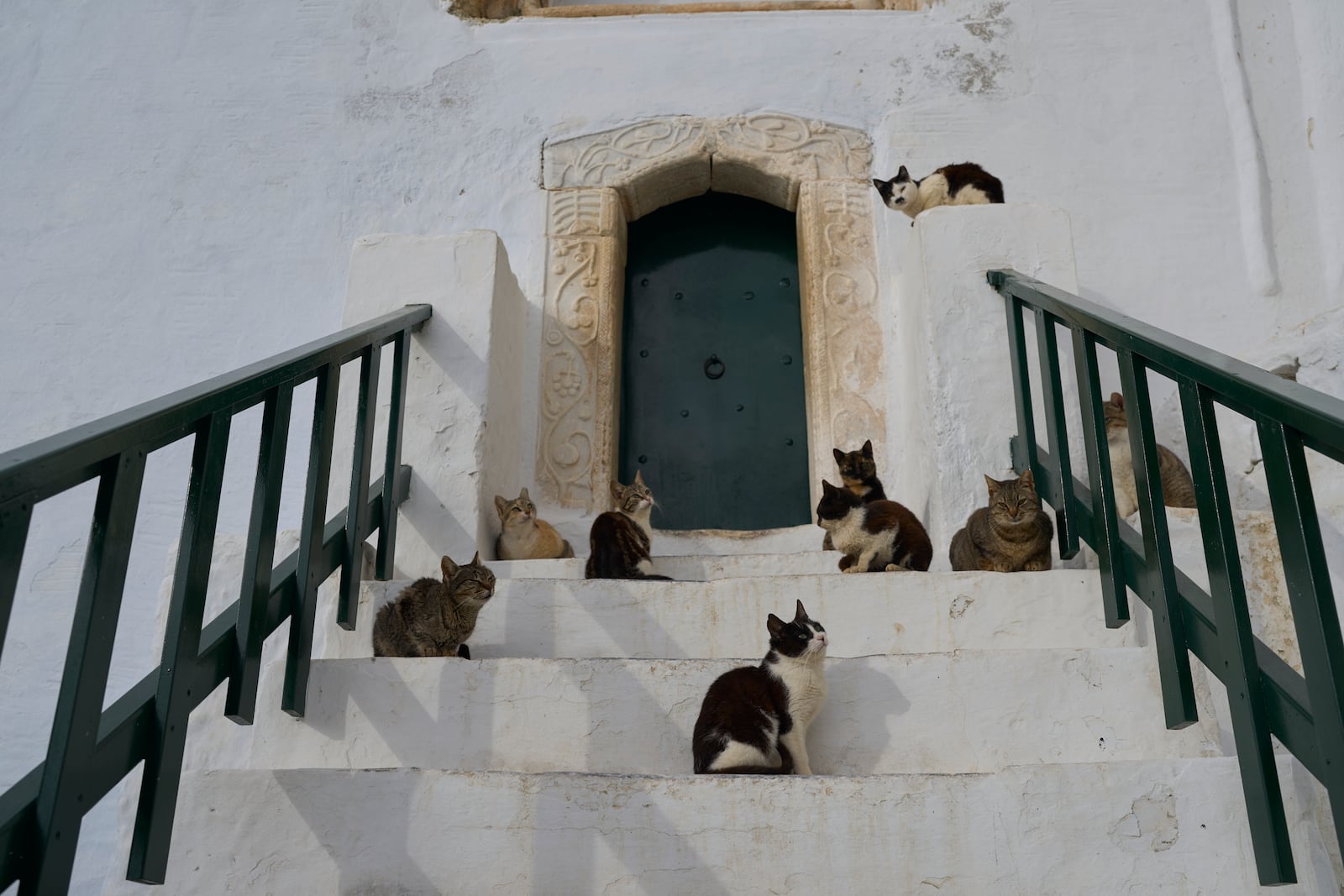 -Cats stand outside the entrance of the Monastery of Panagia Hozoviotissa, in Amorgos island, Greece, on Saturday, March 29, 2025. (AP Photo/Petros Giannakouris)