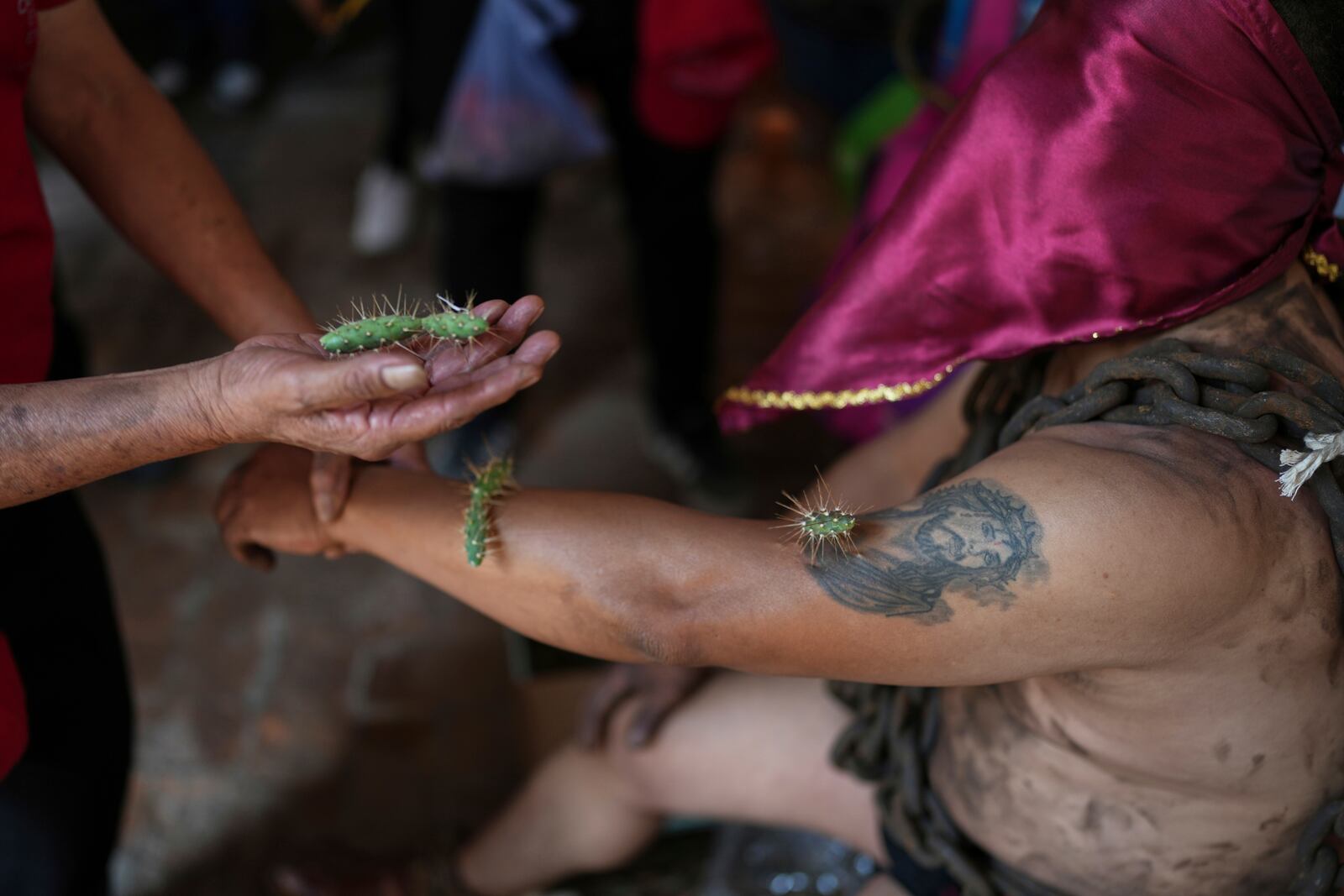 A masked penitent in chains holds out his arms to have cacti attached to his arm, before taking part in a Holy Week procession in Atlixco, Mexico, on Good Friday, April 18, 2025. (AP Photo/Eduardo Verdugo)