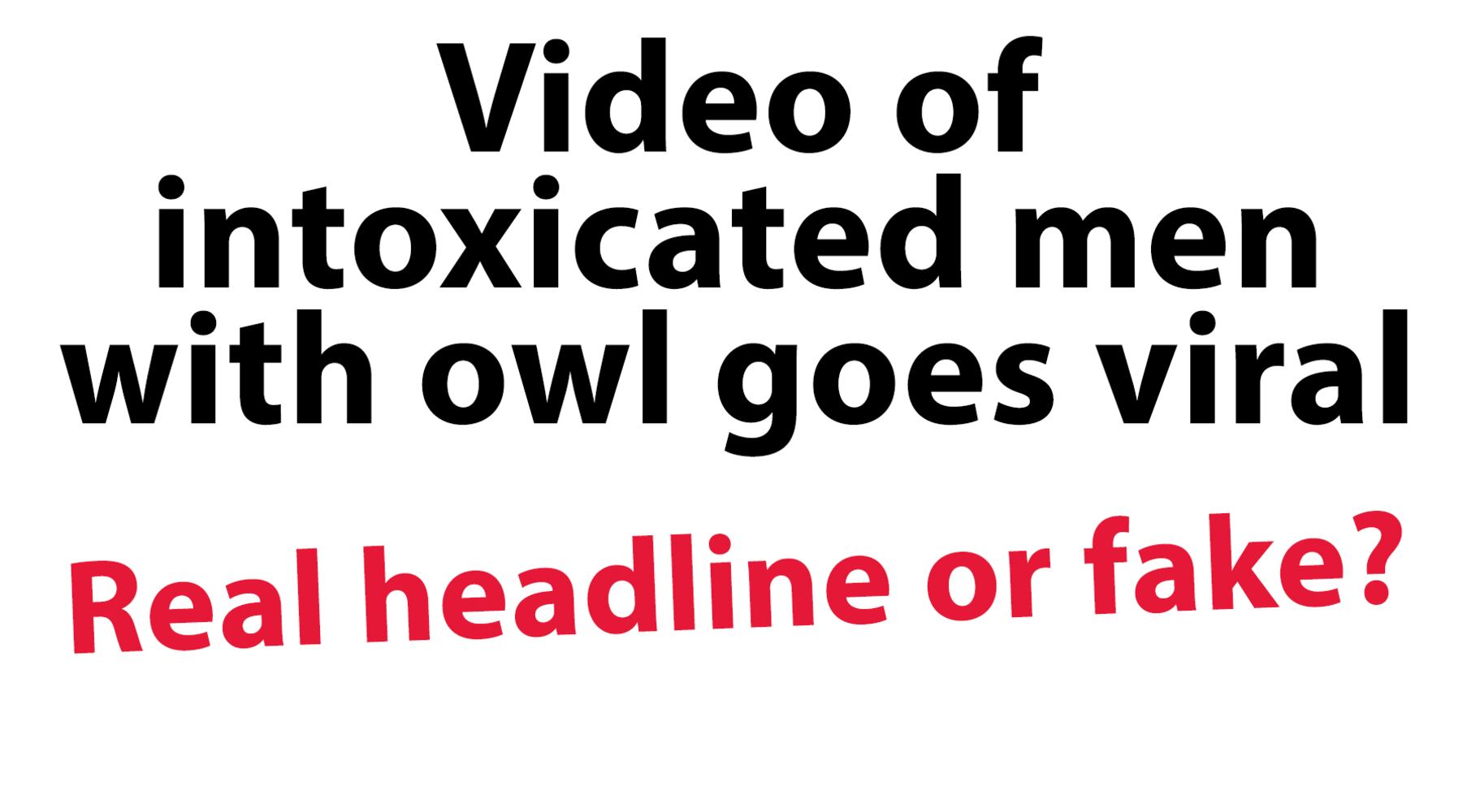 Are these headlines real or fake?