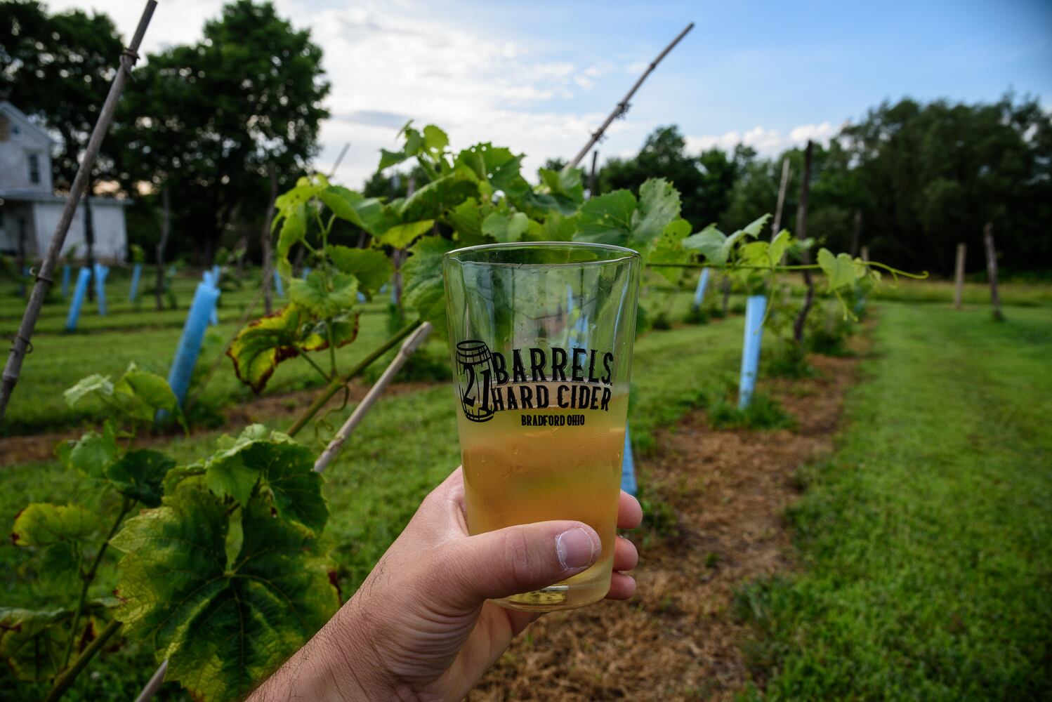 PHOTOS: Our first look inside the newly opened Twenty One Barrels Cidery & Winery
