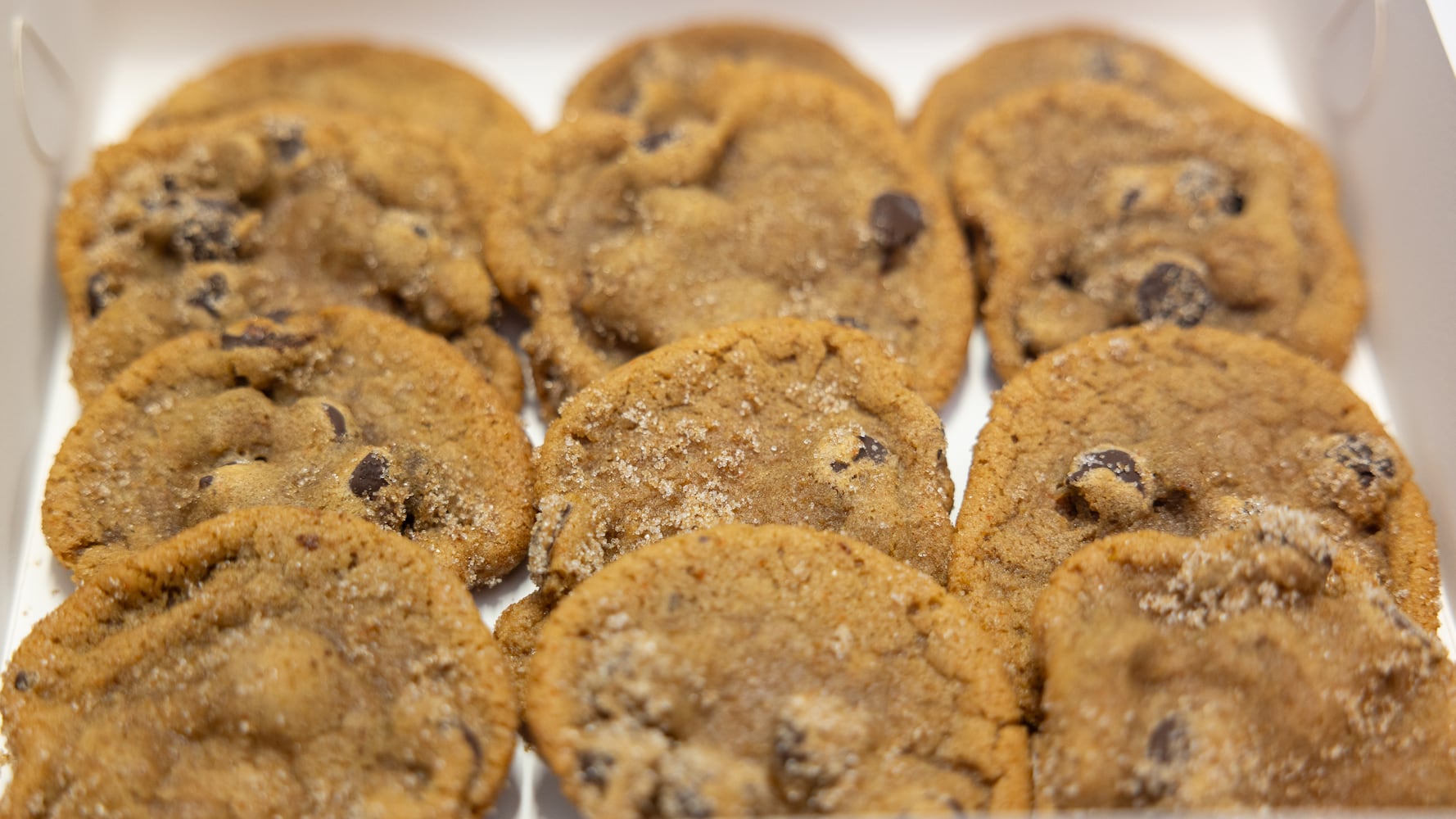 DDN 112425 DDN Holiday Cookie Contest