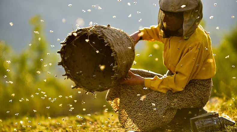 Hatidze Muratova is a beekeeper in the Balkan mountainside. CONTRIBUTED