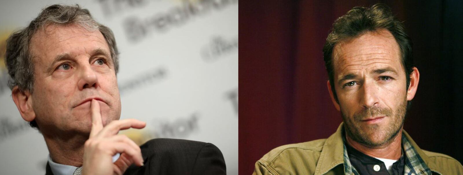 Sen. Sherrod Brown (D-OH) / photo Win McNamee/Getty Images.  Luke Perry /AP Photo/Jeff Christensen, File.