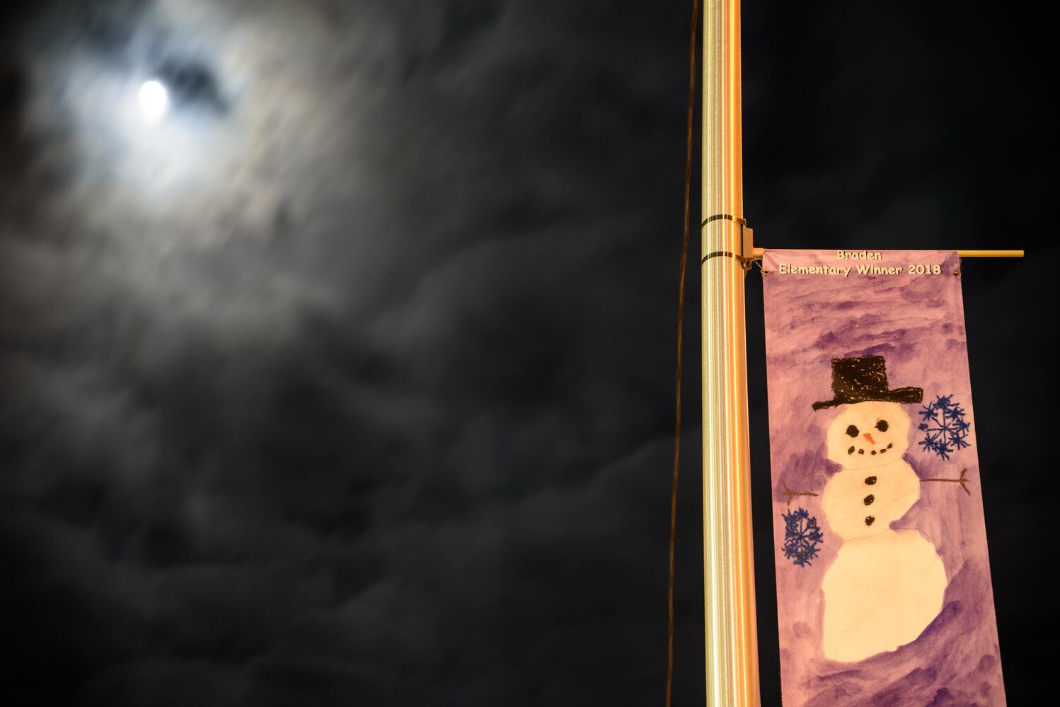 PHOTOS: Troy’s Holiday Tree Lighting
