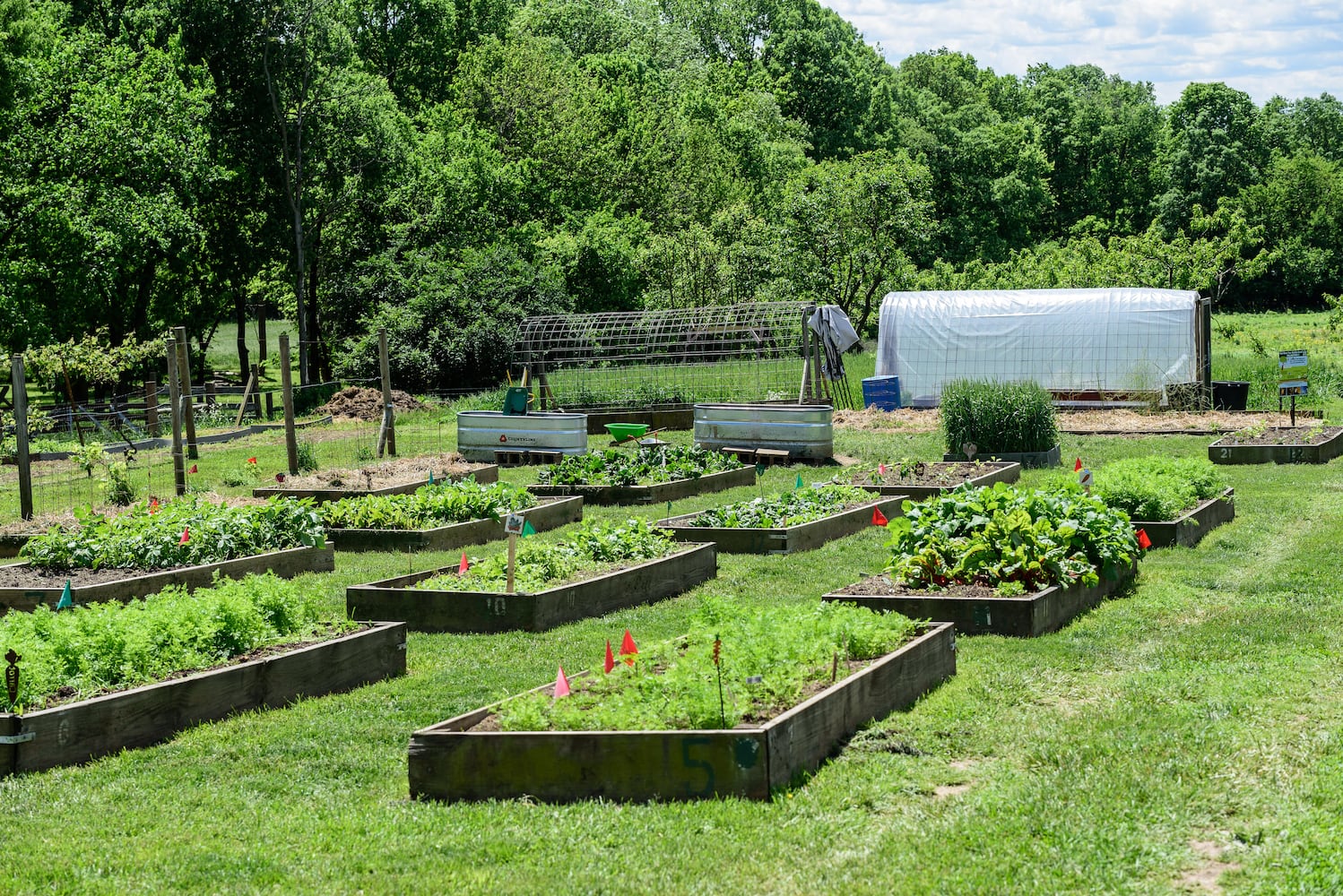 PHOTOS: Wooly Wonders - Spring on the Farm Family Event at Learning Tree Farm