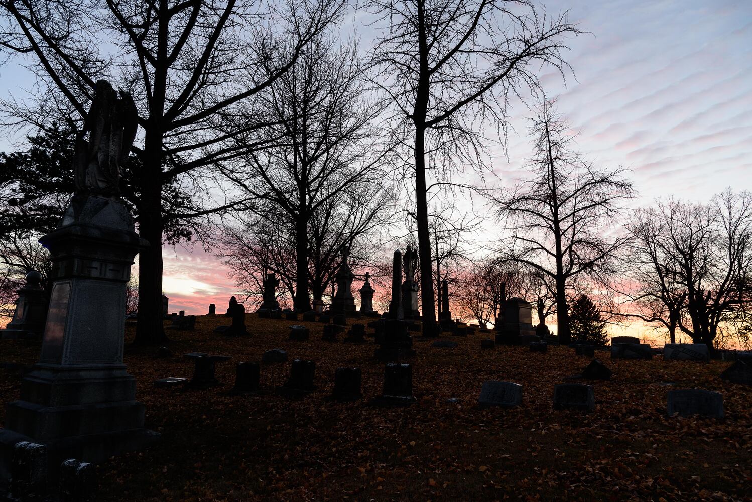 PHOTOS: Angel Night at Calvary Cemetery