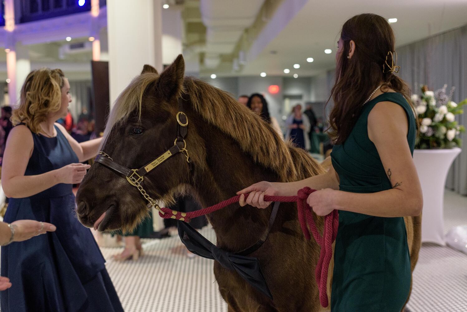 PHOTOS: Did we spot you at the Pet Afflaire Gala at the Dayton Arcade?