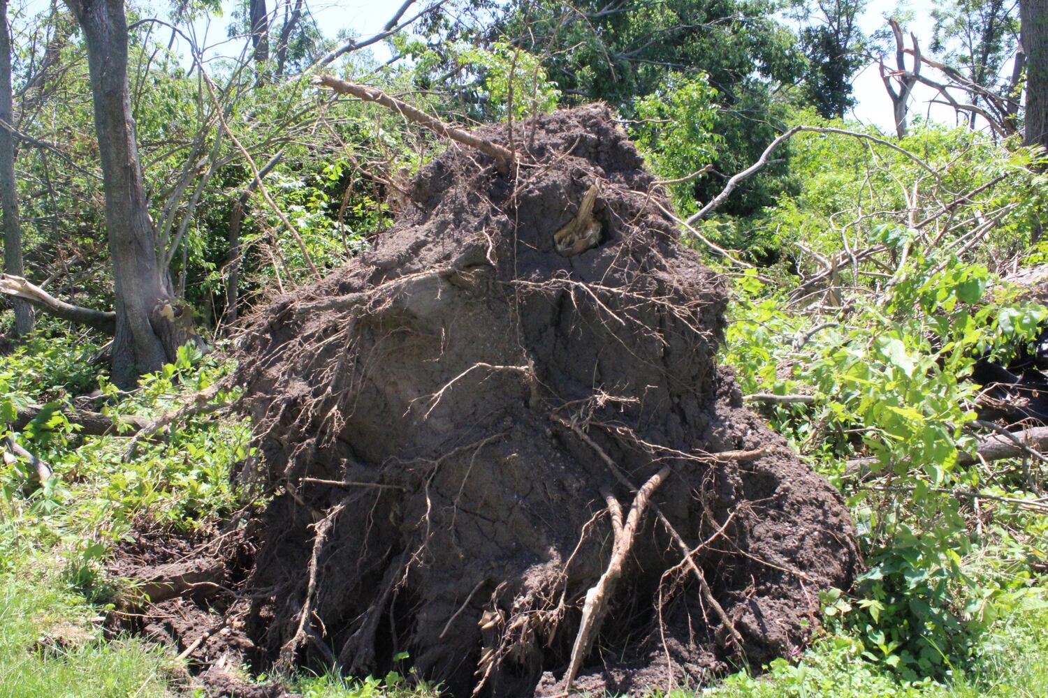 Photos: ‘extraordinary’ damage to parts of  Wegerzyn MetroPark, some parts mostly untouched