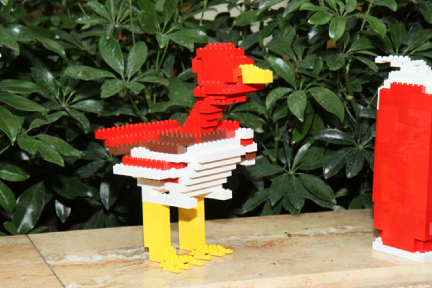 LEGO Master Builder Competition at Phipps