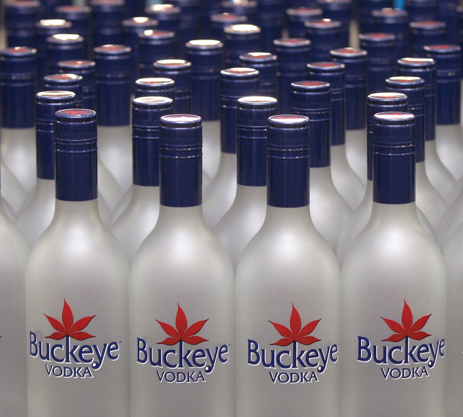 Bottles wait to be filled with the new, locally-crafted Buckeye Vodka. Dayton Daily News 2011