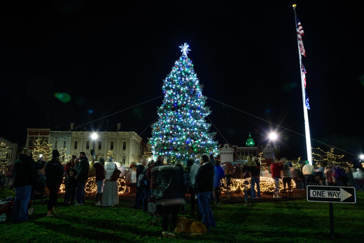 PHOTOS: Troy’s Holiday Tree Lighting