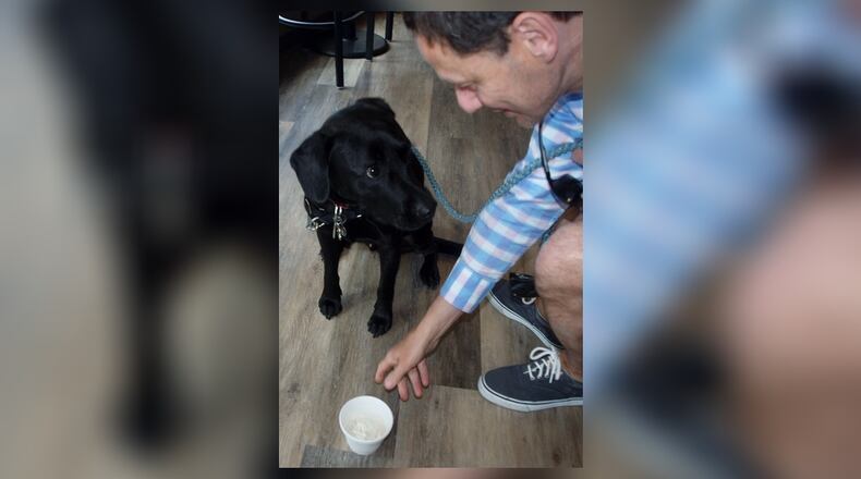 Teddy waiting for his treat from his dad. KARIN SPICER/CONTRIBUTED