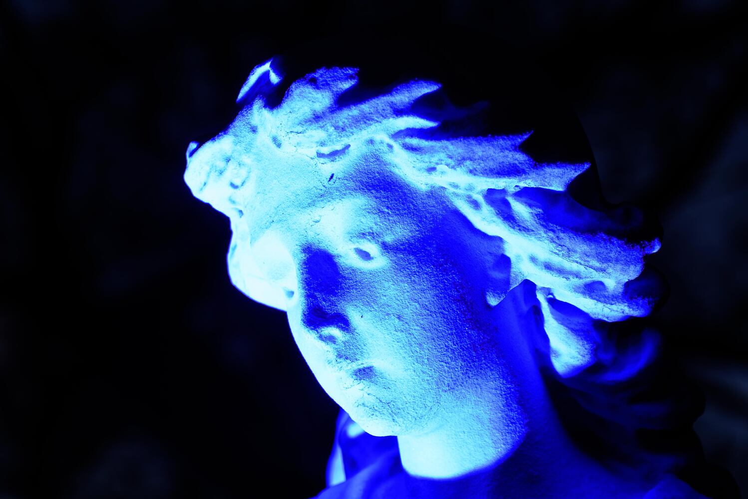 PHOTOS: Angel Night at Calvary Cemetery