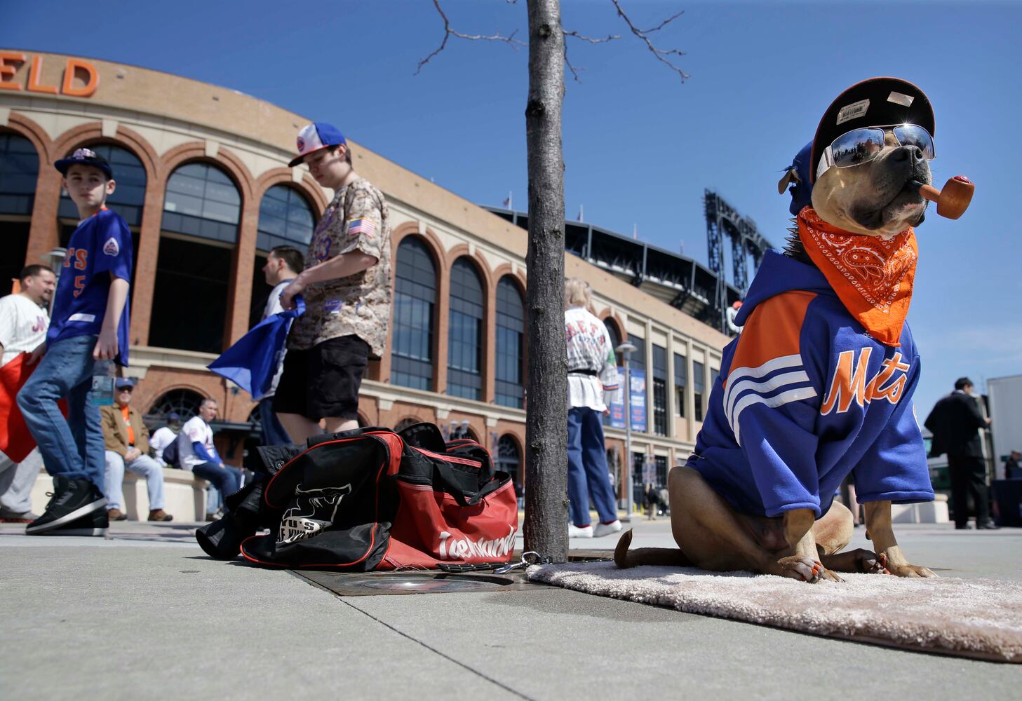 News hounds (4/16/15)